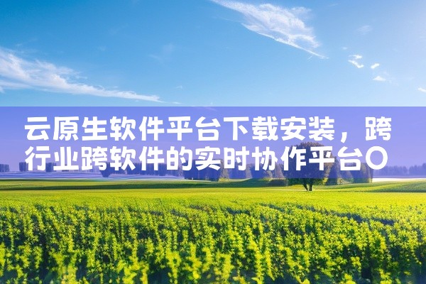 云原生软件平台下载安装