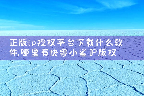 正版ip授权平台下载什么软件