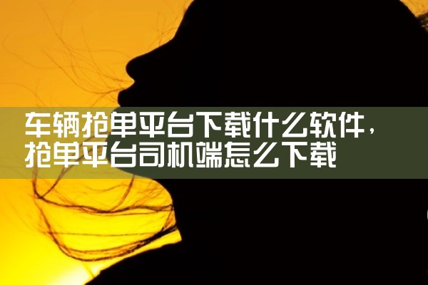 车辆抢单平台下载什么软件