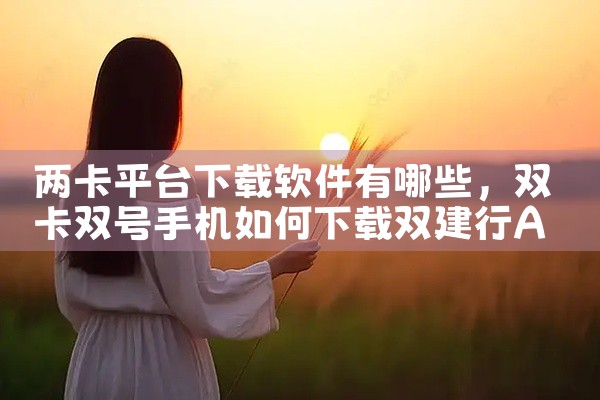 两卡平台下载软件有哪些