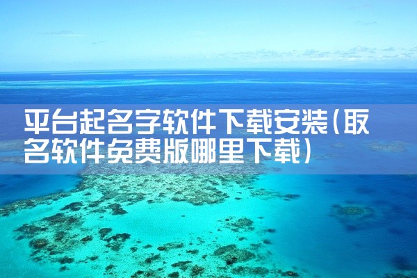 平台起名字软件下载安装