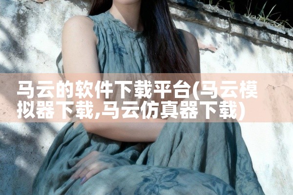 马云的软件下载平台