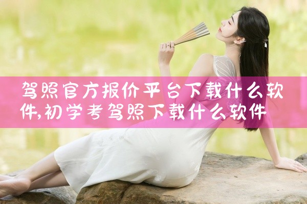 驾照官方报价平台下载什么软件