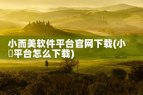 小而美软件平台官网下载