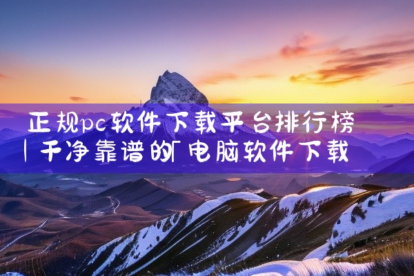 正规pc软件下载平台排行榜