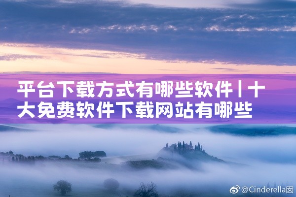 平台下载方式有哪些软件