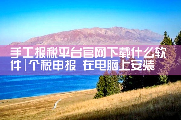 手工报税平台官网下载什么软件