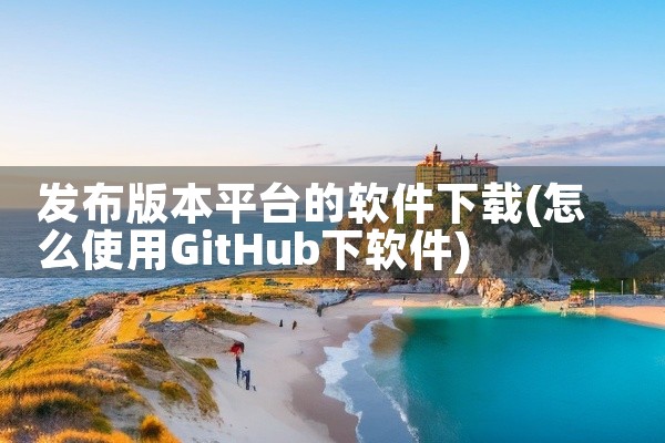 发布版本平台的软件下载